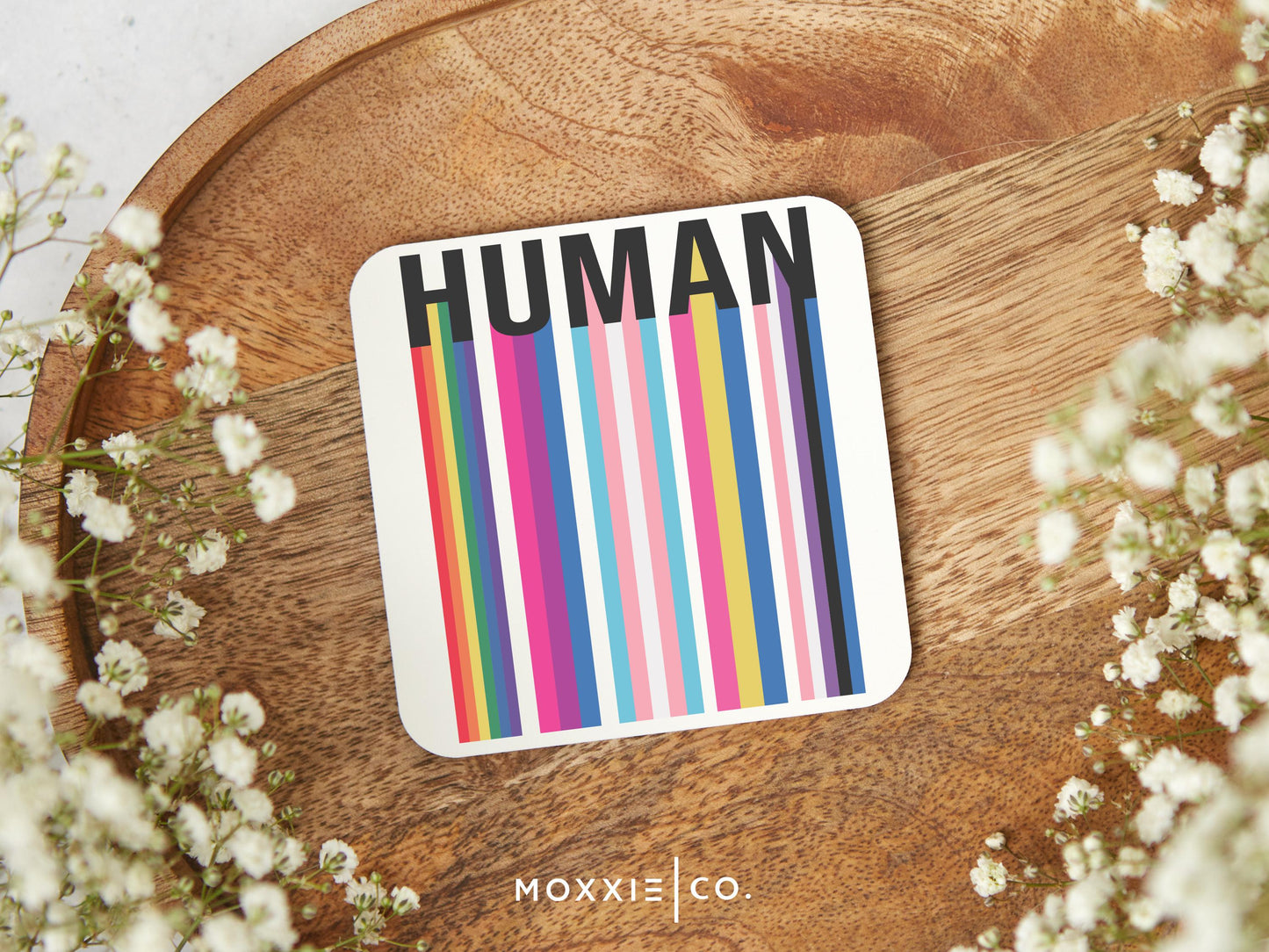 HUMAN Inclusive Ally LGBTQ Motivational Magnet | Inspirational Gift - Moxxie Co.